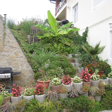 Rozsadomb Apartman Zalakaros Buitenkant foto