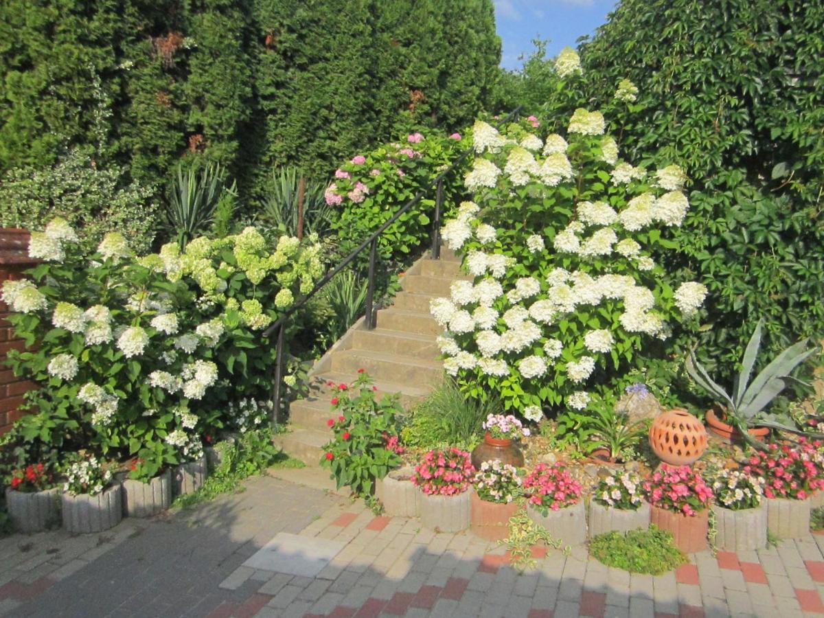 Rozsadomb Apartman Zalakaros Buitenkant foto
